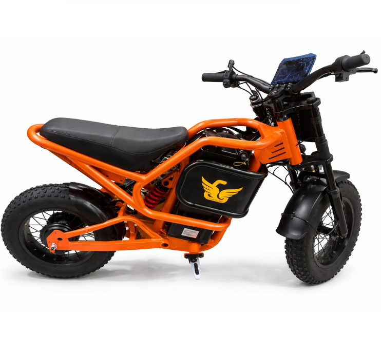 ASTER X9 KIDS Electric Dirt Bike With Fat tires 2026 new model