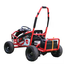 تحميل الصورة إلى عارض المعرض، Electric Rideon Gokarts Buggy Car For teens &amp; Adults
